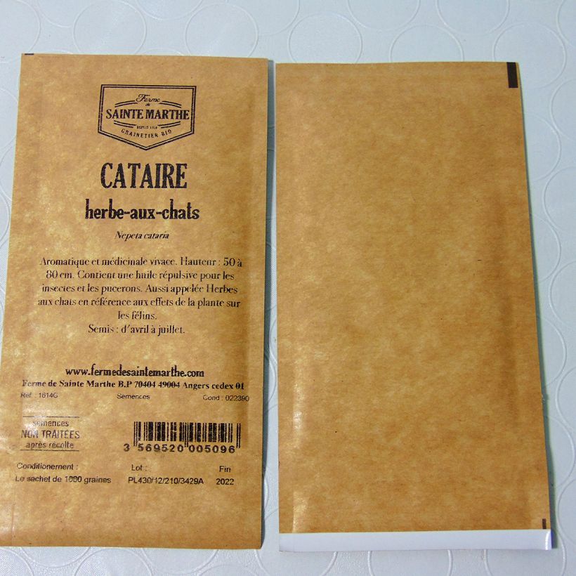 Exemple de spécimen de Cataire NT - Ferme de Sainte Marthe Graines tel que livré