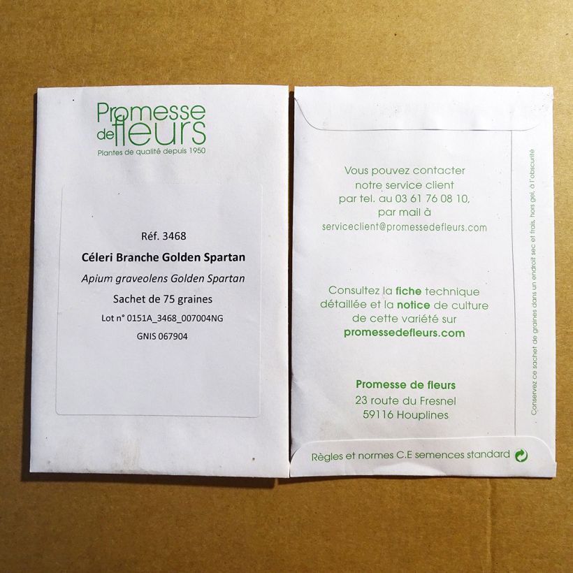 Exemple de spécimen de Céleri Branche Golden Spartan - Apium graveolens le sachet de 75 graines tel que livré