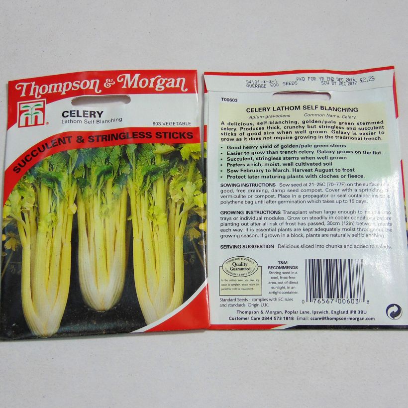Exemple de spécimen de Céleri Lathom Self Blanching - Apium graveolens Graines tel que livré
