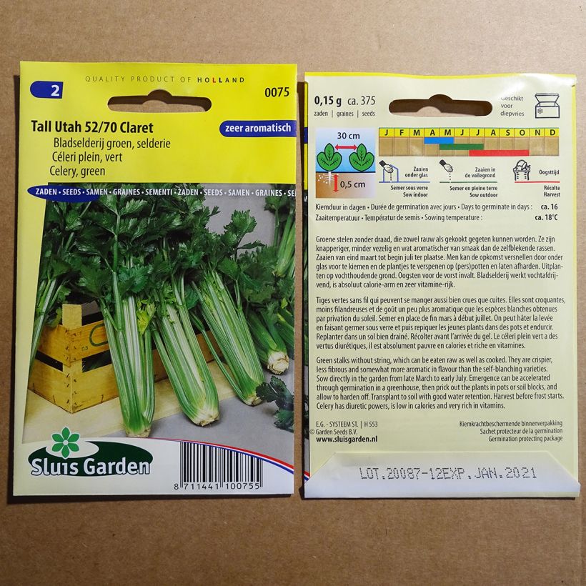 Exemple de spécimen de Céleri Tall Utah 52/70 Claret - Apium graveolens Graines tel que livré