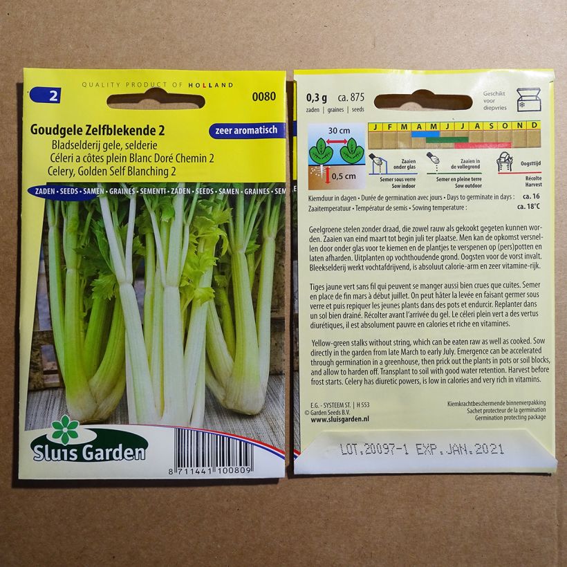 Exemple de spécimen de Céleri à côtes plein Blanc Doré Chemin 2 - Apium graveolens Graines tel que livré
