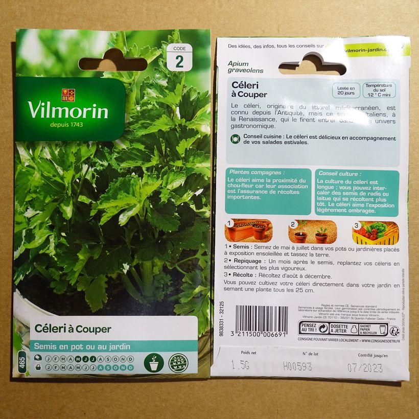 Exemple de spécimen de Céleri à couper - Vilmorin Graines tel que livré