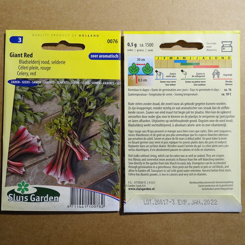 Exemple de spécimen de Céleri plein Giant Red - Apium graveolens Graines tel que livré