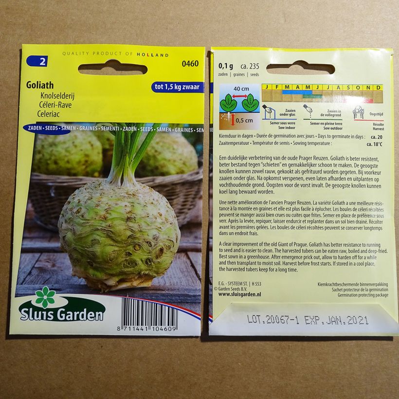 Exemple de spécimen de Céleri rave Goliath - Apium graveolens Graines tel que livré
