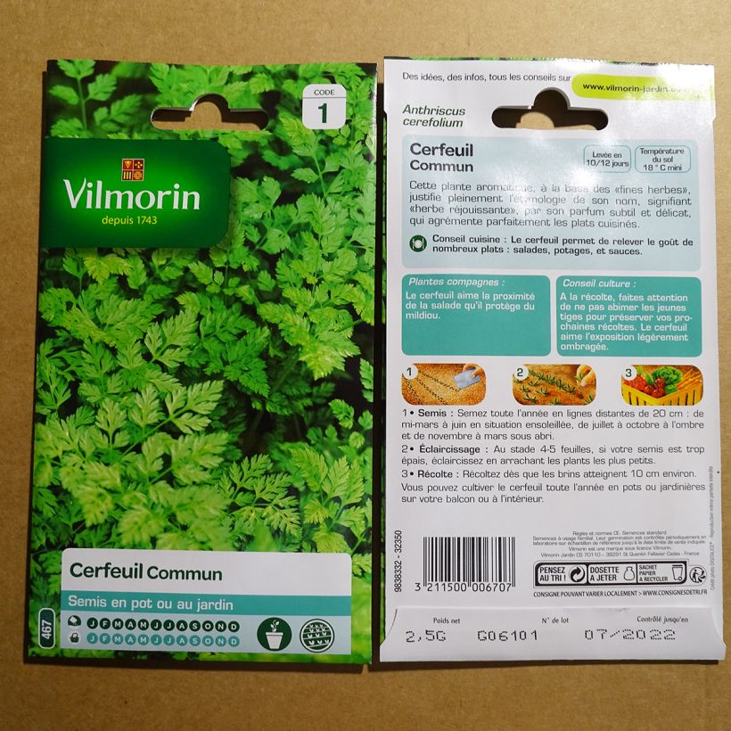 Exemple de spécimen de Cerfeuil commun - Vilmorin Graines tel que livré