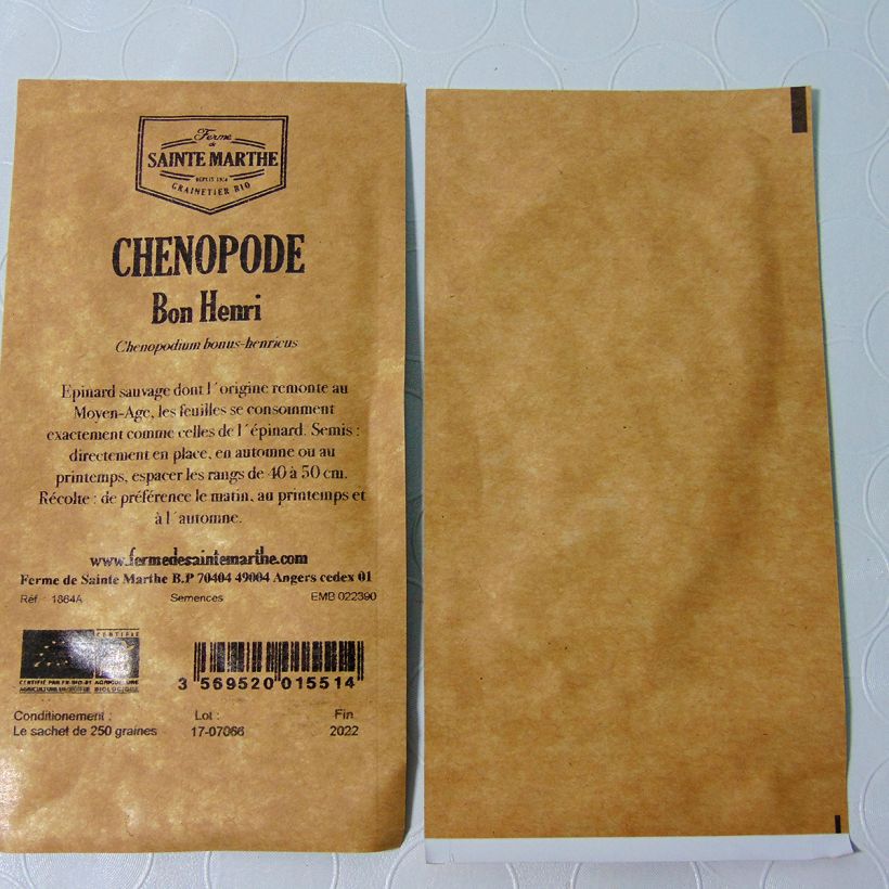 Exemple de spécimen de Chénopode Bon Henri Bio - Ferme de Sainte Marthe Graines tel que livré