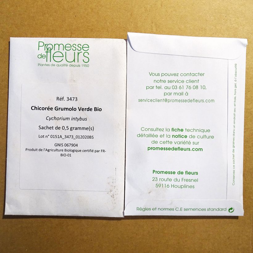 Exemple de spécimen de Chicorée Grumolo Verde Bio tel que livré