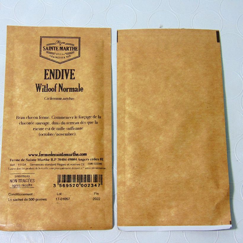 Exemple de spécimen de Chicorée Witloof (Endive) Alba Bio - Ferme de Sainte Marthe le sachet de 500 graines (1g) tel que livré