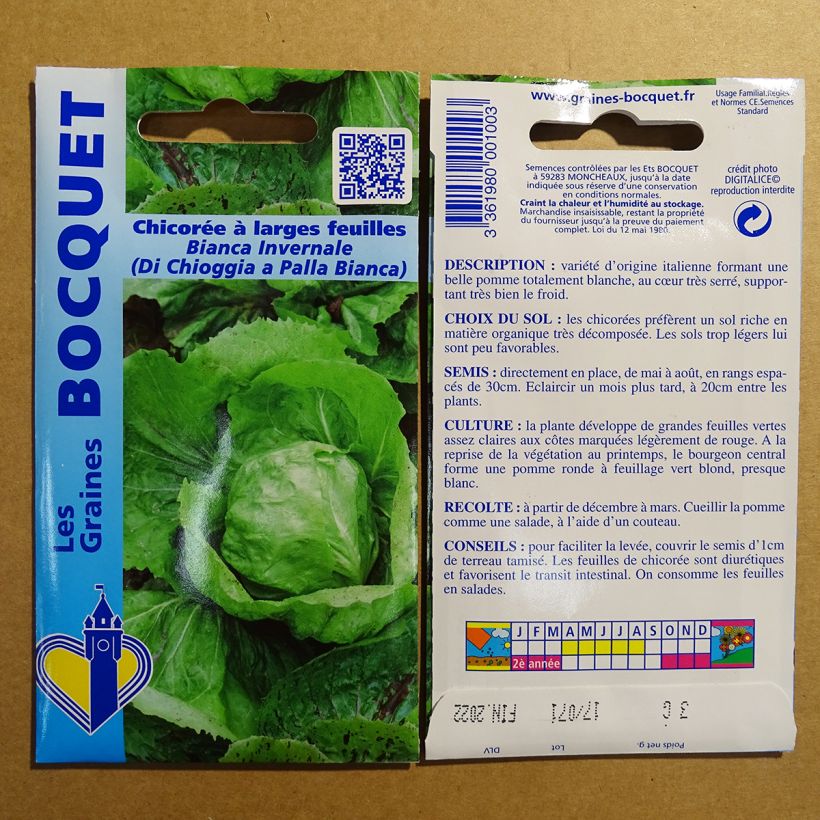 Exemple de spécimen de Chicorée à large feuilles Bianca invernale ( di chioggia a palla Bianca ) - Cichorium intybus Graines tel que livré