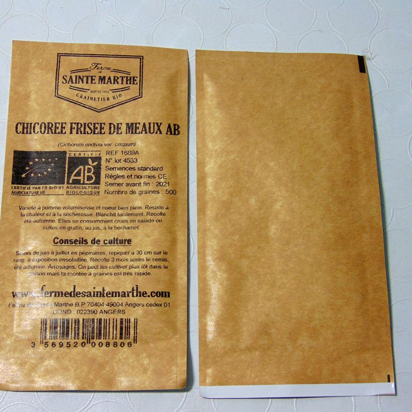 Exemple de spécimen de Chicorée frisée Fine de Meaux Bio - Ferme de Sainte Marthe le sachet de 2300 graines (4g) tel que livré
