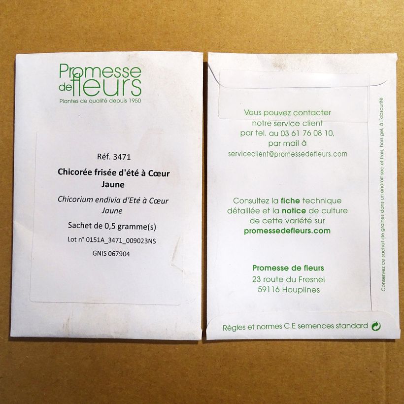 Exemple de spécimen de Chicorée frisée d'été à Cœur Jaune  le sachet de 300 graines (0.5g) tel que livré