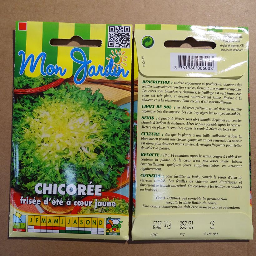 Exemple de spécimen de Chicorée frisée d'été à Cœur Jaune - Cichorium endivia crispum tel que livré
