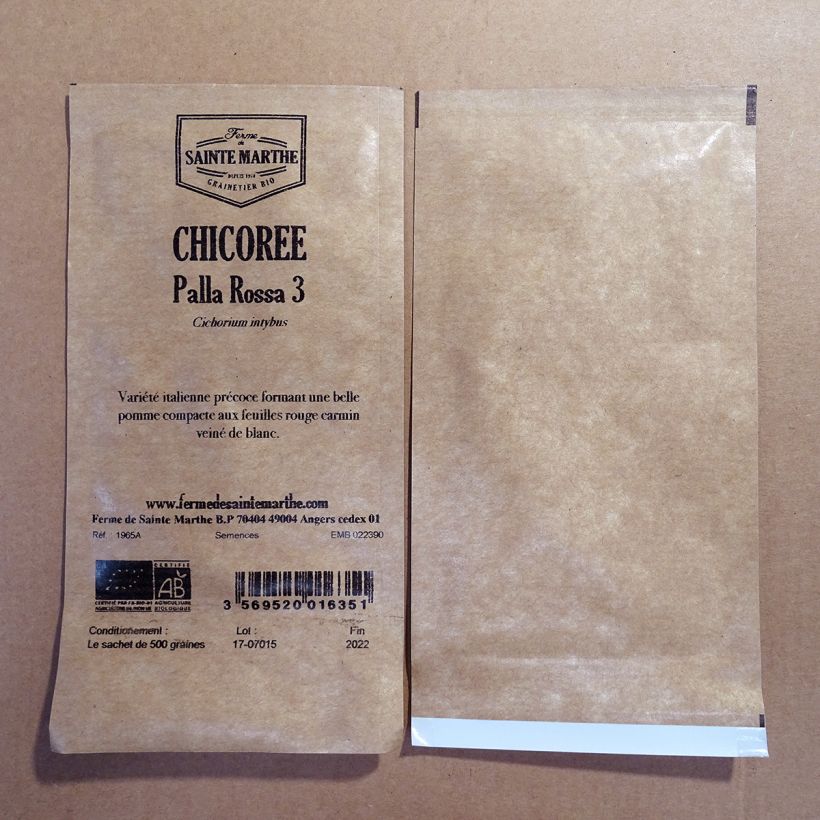 Exemple de spécimen de Chicorée sauvage Palla Rossa 3 Bio - Ferme de Sainte Marthe le sachet de 500 graines tel que livré