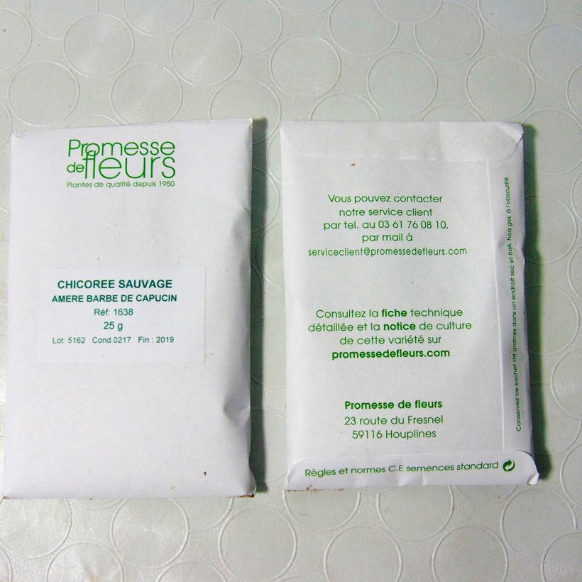 Exemple de spécimen de Chicorée sauvage amère Barbe de Capucin - Cichorium intybus Graines tel que livré