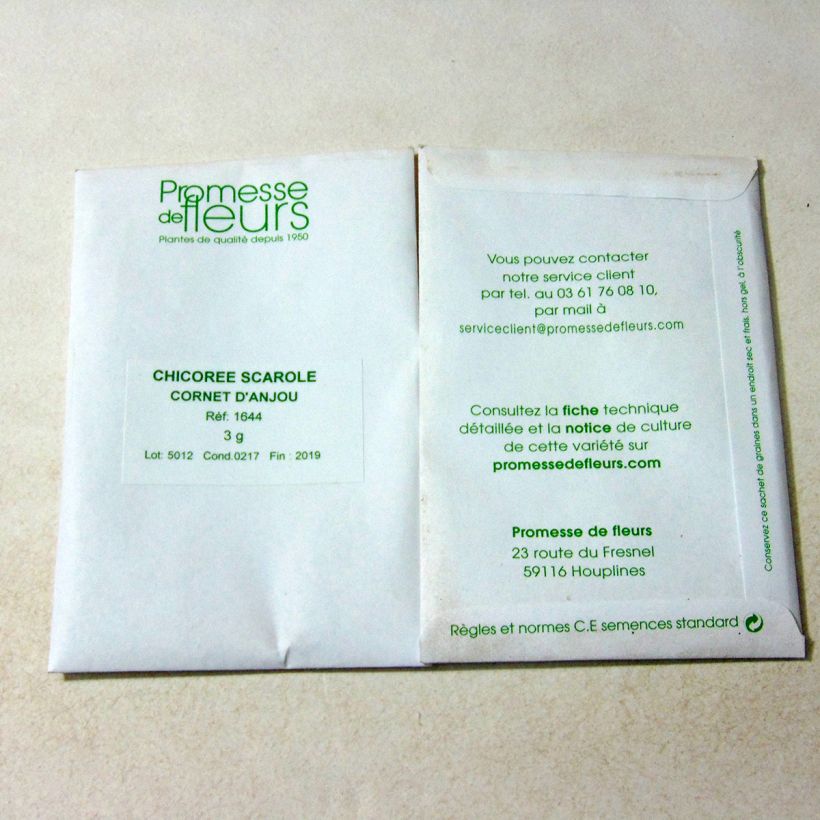 Exemple de spécimen de Chicorée scarole en Cornet d'Anjou - Cichorium endivia le sachet de +/- 1800 graines (minimum 3g) tel que livré