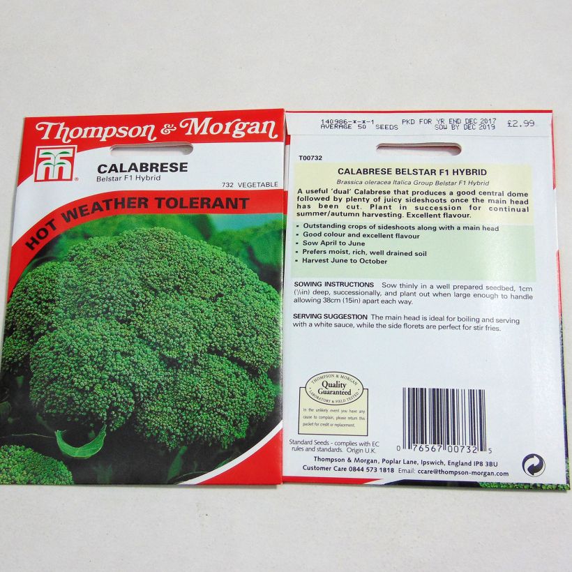Exemple de spécimen de Chou Brocoli Belstar F1 Graines tel que livré