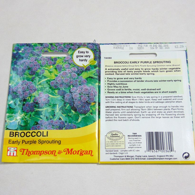 Exemple de spécimen de Chou Brocoli Early Purple Sprouting tel que livré