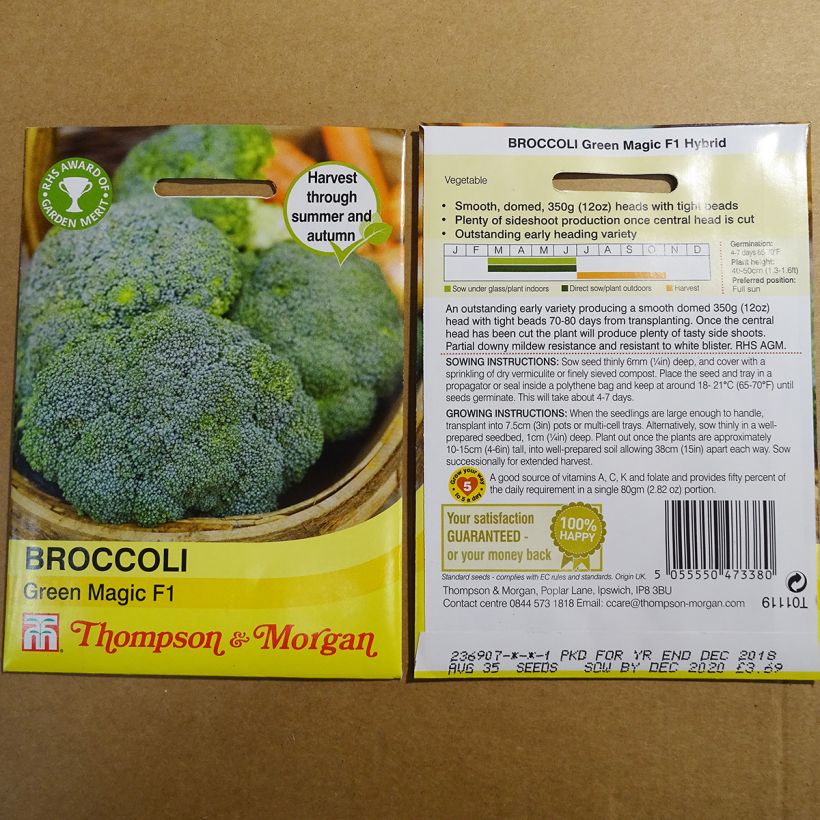 Exemple de spécimen de Chou Brocoli Green Magic F1 Graines tel que livré
