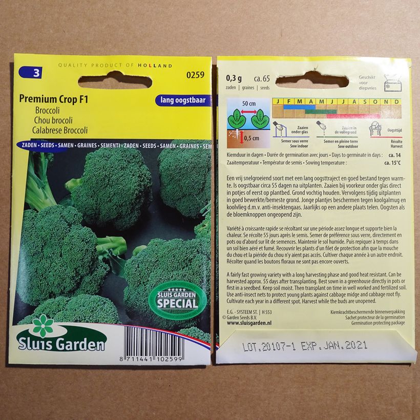 Exemple de spécimen de Chou Brocoli Premium Crop F1 Graines tel que livré