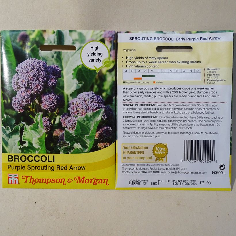 Exemple de spécimen de Chou Brocoli Red Arrow Graines tel que livré