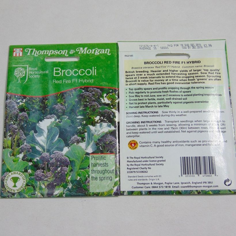 Exemple de spécimen de Chou Brocoli Red Fire F1 Graines tel que livré