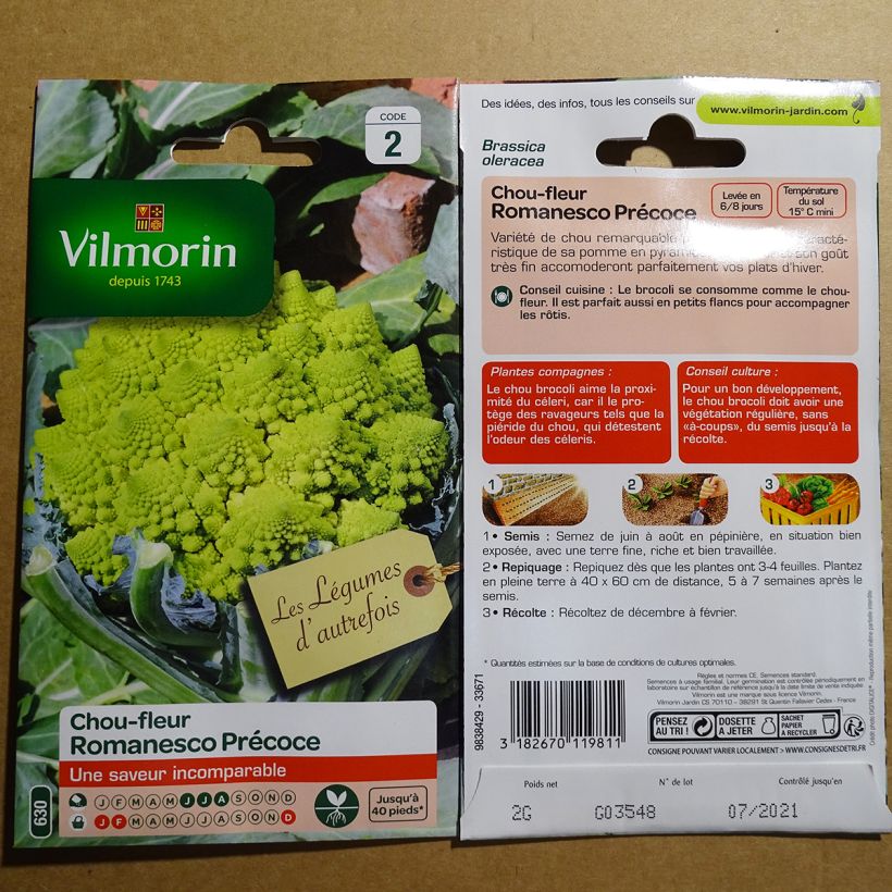 Exemple de spécimen de Chou Brocoli Romanesco précoce - Vilmorin Graines tel que livré