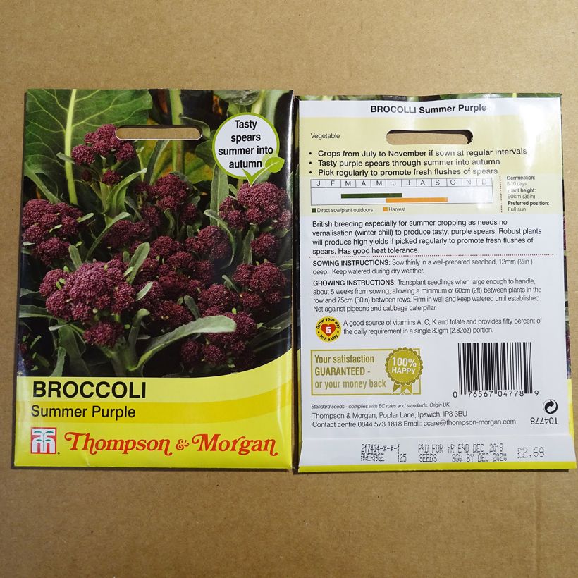 Exemple de spécimen de Chou Brocoli Summer Purple tel que livré