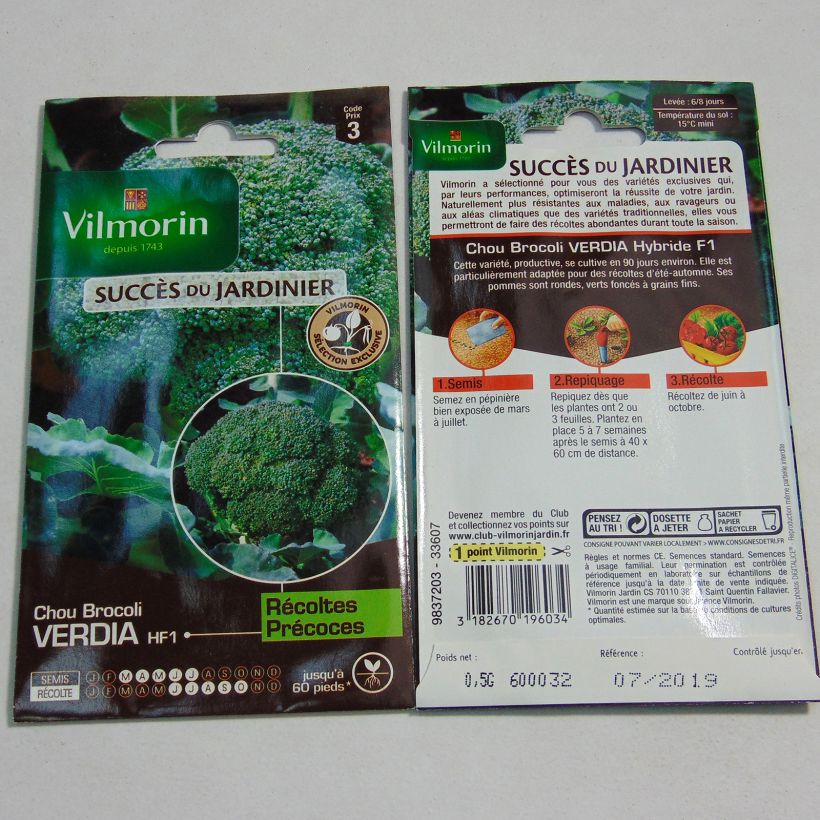 Exemple de spécimen de Chou Brocoli Verdia F1 (création Vilmorin) - Vilmorin tel que livré