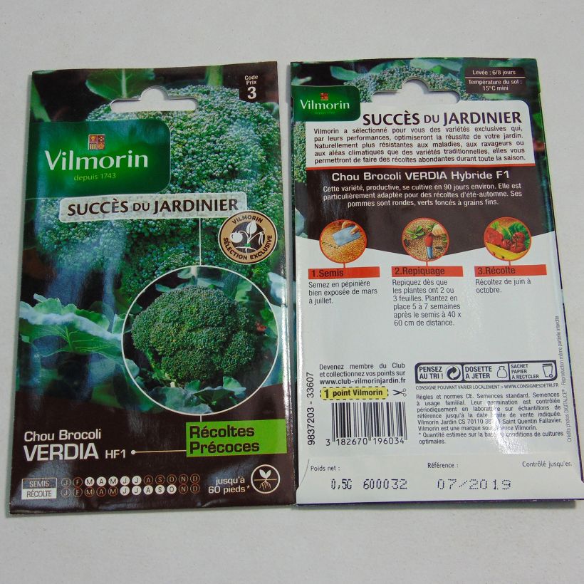 Exemple de spécimen de Chou Brocoli Verdia F1 (création Vilmorin) - Vilmorin Graines tel que livré