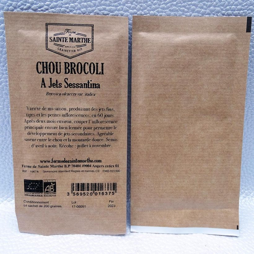 Exemple de spécimen de Chou Brocoli à jets Sessantina Bio - Ferme de Sainte Marthe le sachet de 200 graines tel que livré