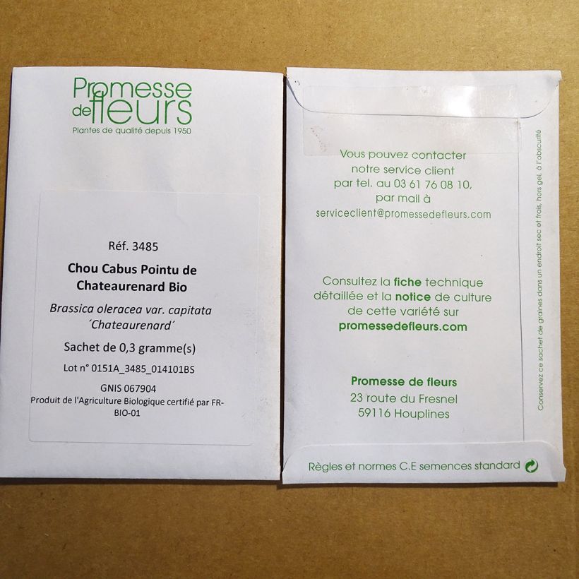 Exemple de spécimen de Chou Cabus Pointu de Chateaurenard Bio Graines tel que livré