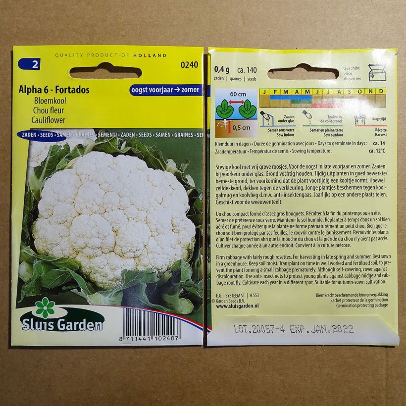 Exemple de spécimen de Chou-Fleur Alpha 6 - Fortados Graines tel que livré