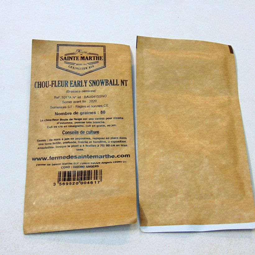 Exemple de spécimen de Chou-Fleur Early Snowball NT - Ferme de Sainte Marthe Graines tel que livré