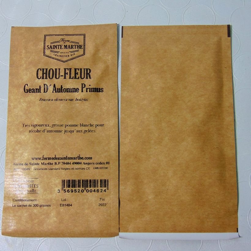 Exemple de spécimen de Chou-Fleur Géant d'Automne Primus NT - Ferme de Sainte Marthe Graines tel que livré