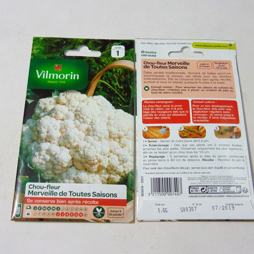 Exemple de spécimen de Chou-Fleur Merveille de Toutes Saisons - Vilmorin Graines tel que livré