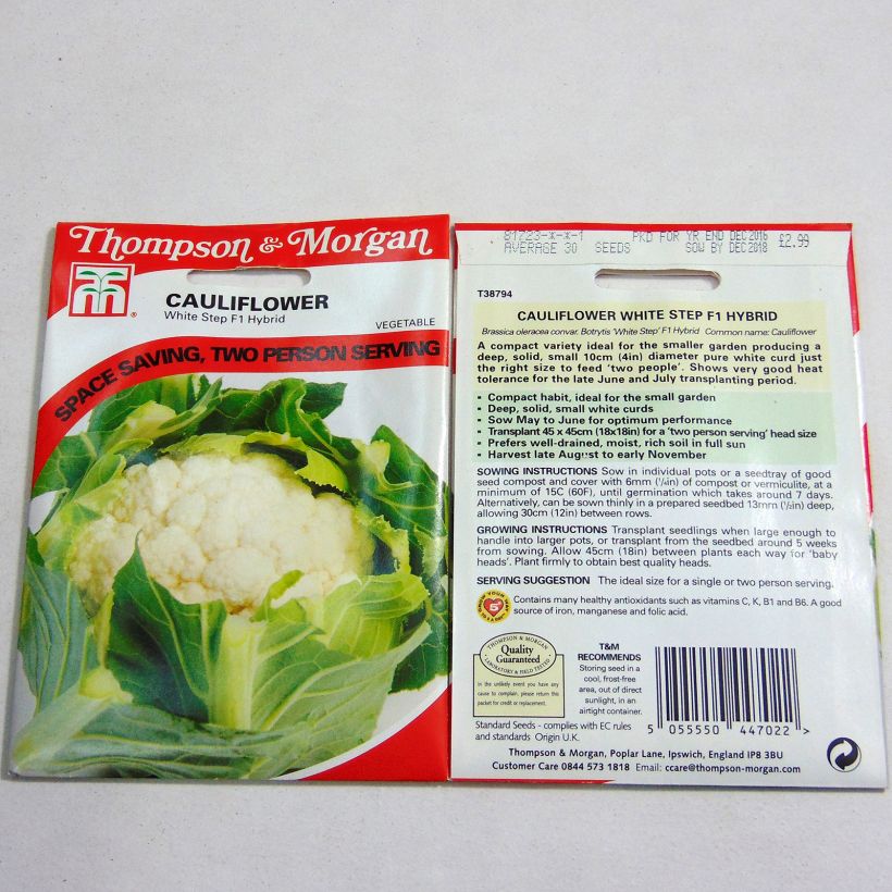 Exemple de spécimen de Chou-Fleur White Step F1 Graines tel que livré