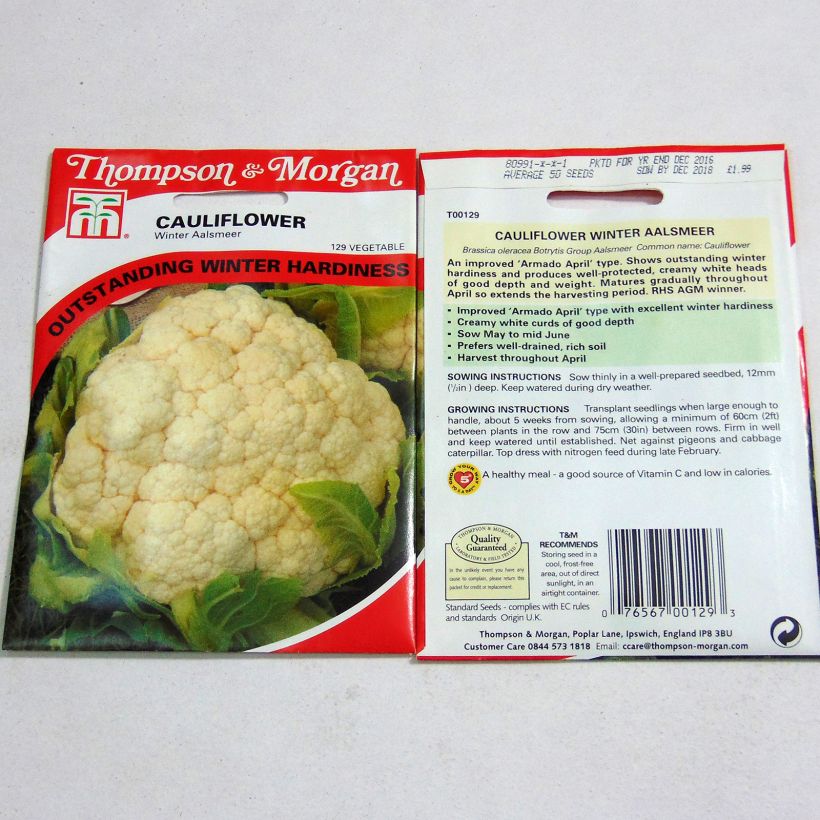 Exemple de spécimen de Chou-Fleur Winter Aalsmeer Graines tel que livré