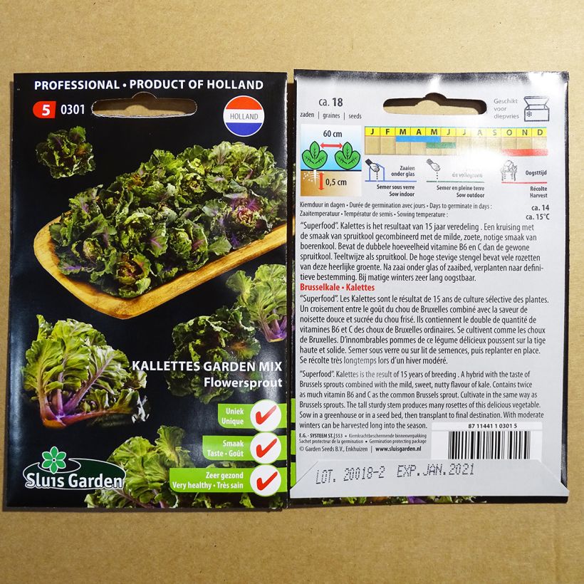 Exemple de spécimen de Chou Flower Sprout - Kalettes Garden Mix Graines tel que livré