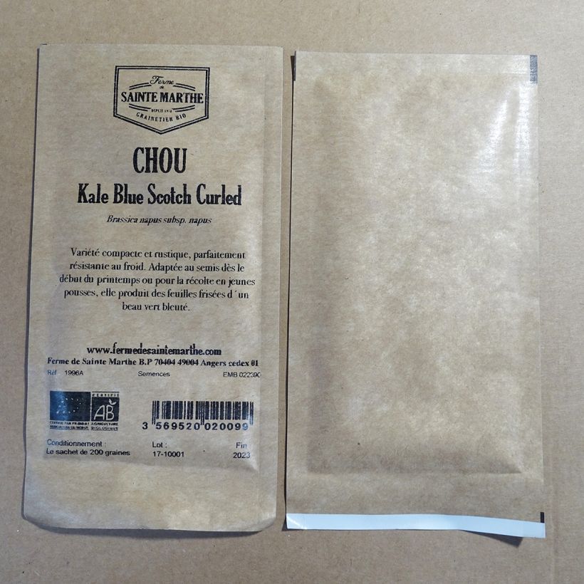 Exemple de spécimen de Chou Kale Blue Scotch Curled  le sachet de 250 graines (1g) tel que livré