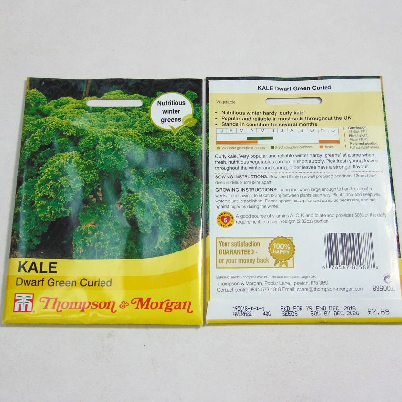 Exemple de spécimen de Chou Kale Dwarf Green Curled tel que livré