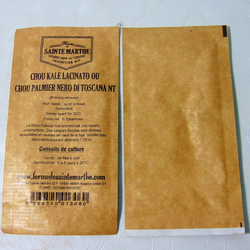 Exemple de spécimen de Chou Kale Nero di Toscana ou chou palmier Lancinato NT - Ferme de Sainte Marthe Graines tel que livré