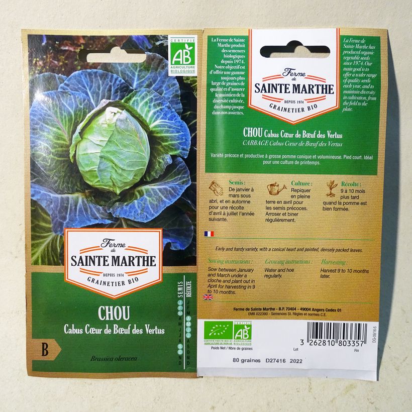 Exemple de spécimen de Chou cabus Cœur de Boeuf des Vertus Bio - Ferme de Ste Marthe Graines tel que livré