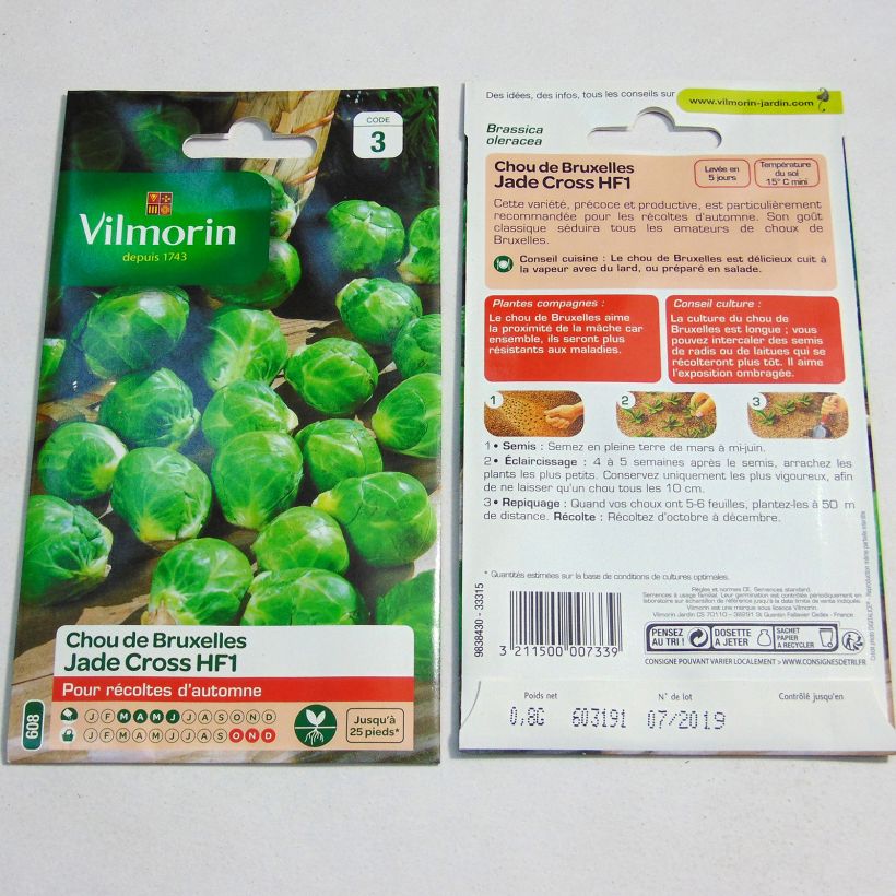 Exemple de spécimen de Chou de Bruxelles Jade Cross F1 - Vilmorin Graines tel que livré