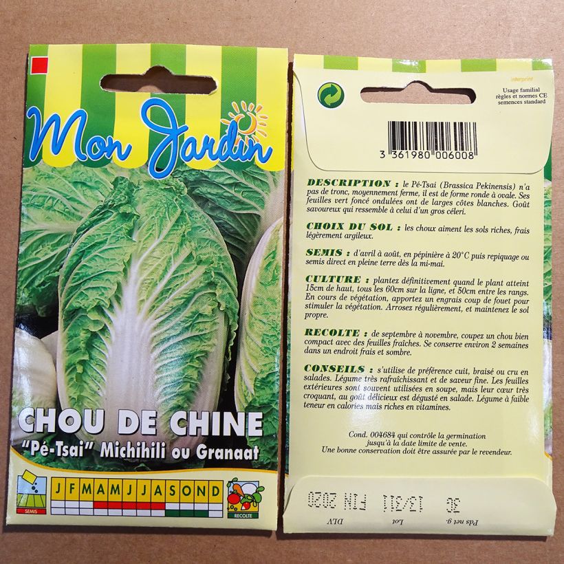 Exemple de spécimen de Chou de Chine Michihili - Granat - Brassica pekinensis tel que livré