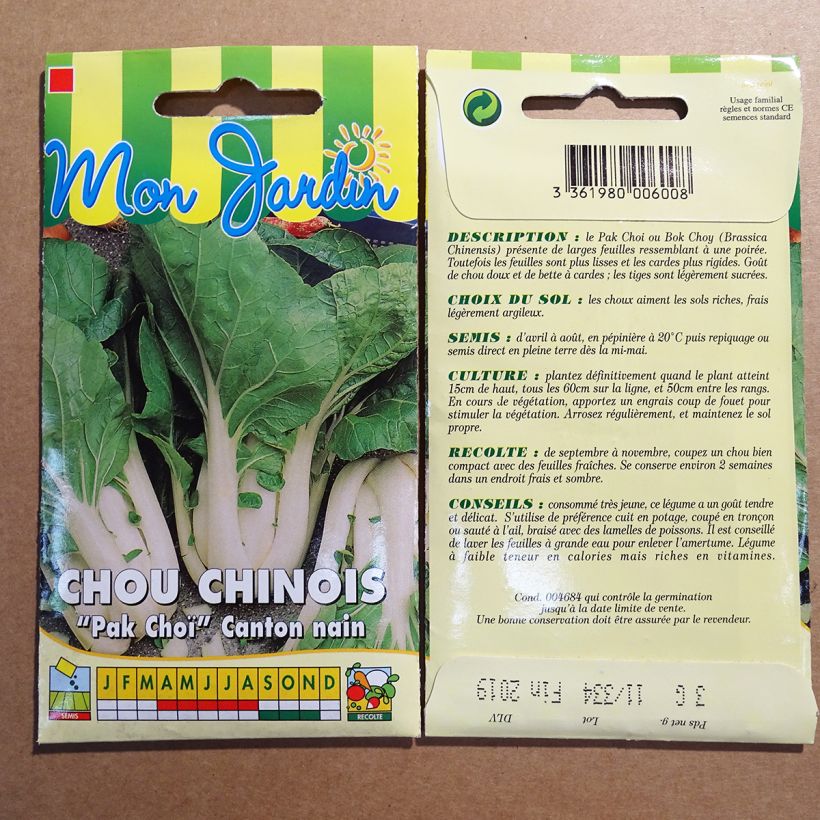 Exemple de spécimen de Chou de Chine Pak Choi Canton nain - Brassica pekinensis Graines tel que livré