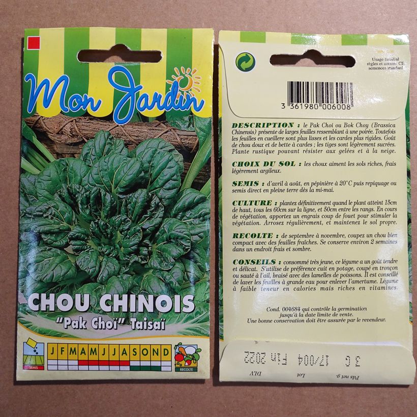 Exemple de spécimen de Chou de Chine Pak Choi Tai Sai - Brassica pekinensis tel que livré