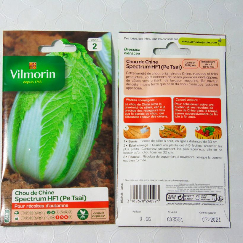 Exemple de spécimen de Chou de Chine Pe Tsai Spectrum F1 - Vilmorin Graines tel que livré