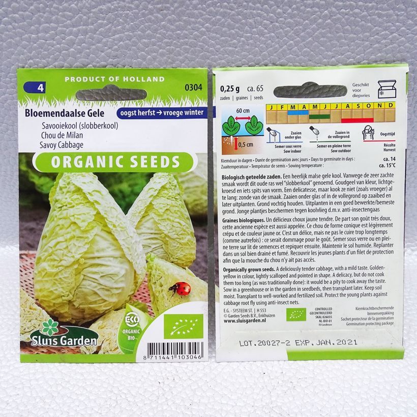 Exemple de spécimen de Chou de Milan Bloemendaalse Gele Bio Graines tel que livré