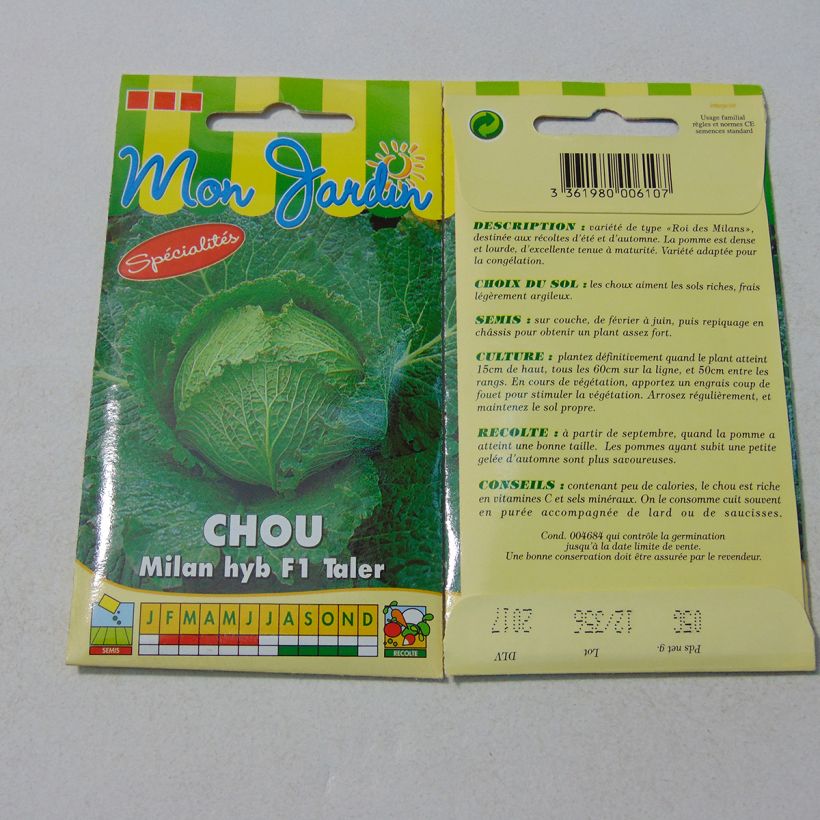 Exemple de spécimen de Chou de Milan Taler F1 - Brassica oleracea Graines tel que livré
