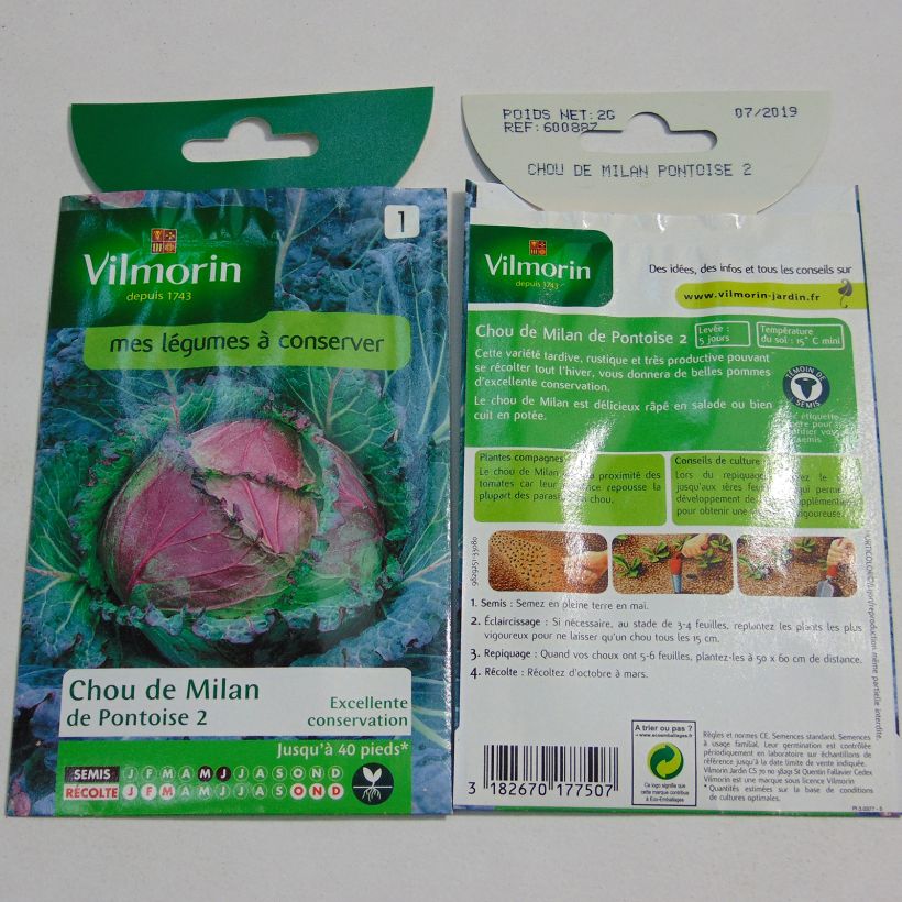 Exemple de spécimen de Chou de Milan de Pontoise - Vilmorin le sachet de 1200 graines (2g) tel que livré